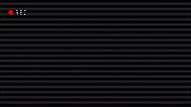 Camera recording screen overlay with scanlines. Prores4444 with alpha channel. Loop.