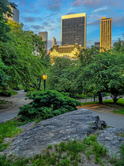 Gapstow Bridge in Central Park, early summer