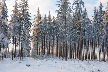 Fototapeta premium Winter sunset in the Moravian-Silesian Beskids, eastern Czech Republic. Snow-covered peaks, vibrant orange-pink sky, serene nature, and frosted trees create an idyllic, picturesque winter scene