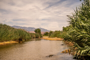 St. George Virgin River Utah Mountain Scene