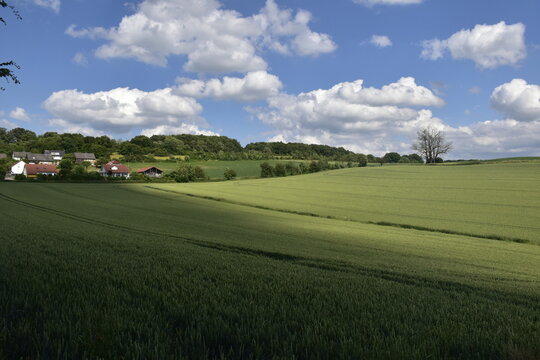 Landschaft bei Lamspringe