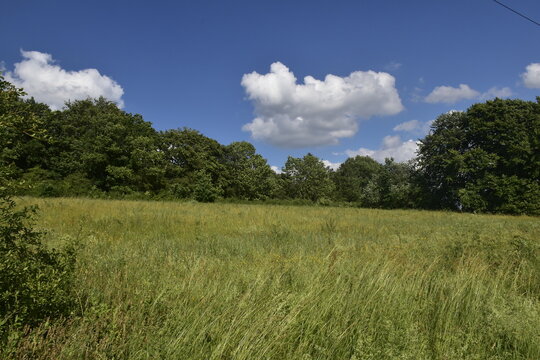 Natur bei Lamspringe