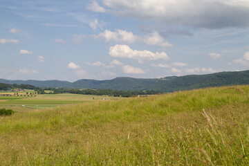 Weitläufige grüne Landschaft mit Bäumen und Hügeln