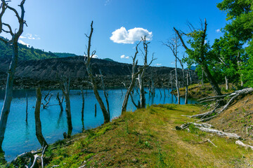 views from trip Lake and forest and bycicle and others