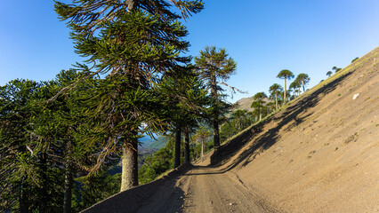 views from trip Lake and forest and bycicle and others