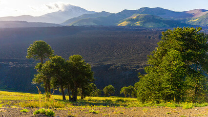 views from trip Lake and forest and bycicle and others