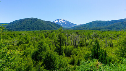 views from trip Lake and forest and bycicle and others