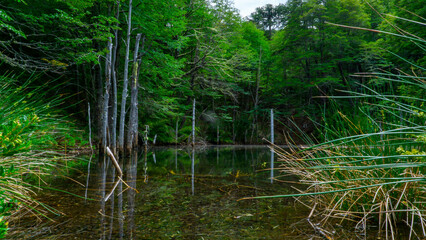 views from trip Lake and forest and bycicle and others