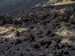 Solidified lava flow on the Etna slopes