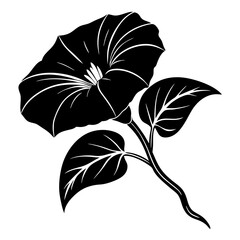 A morning glory silhouette vector illustration