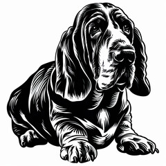 A black and white drawing of a Basset Hound dog