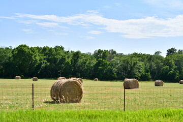 Hay Bales in a Farm Field