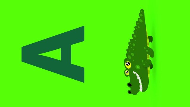 A letter big vertical color like alligator cartoon animation. Animal loop. Educational serie with bold style character for children. Good for education movies, presentation, learning alphabet, etc...