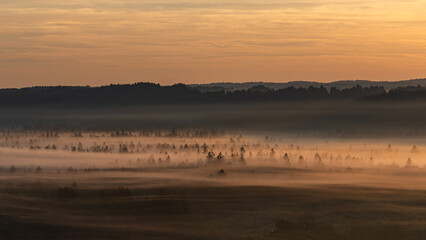 Morgendämmerung über der Auenlandschaft