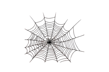 spider web for Halloween. Monochrome spider web, spooky illustration for Halloween theme, scary elements for decoration. scary elements for decoration