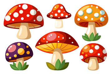 A variety of mushrooms displayed on a white surface