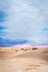 Mesquite Flat Sand Dunes