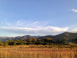 Landscape of the mountains in summer