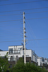 electric pole in the background of the landscape