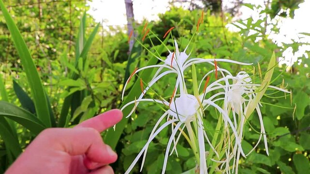 #заметно ли проведение гименопластики- онлайн консультации профессора медицины Долгорукого