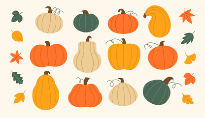 Vector set of colorful various pumpkins and autumn leaves in flat style isolated on white background.