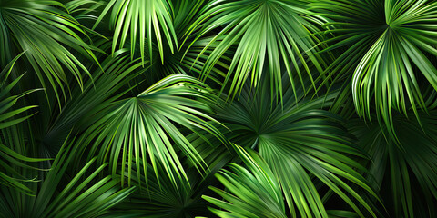 Tropical Leaves: Detailed Close-Up Texture of Lush Green Palm Leaves, Showcasing Intricate Veins and Patterns.