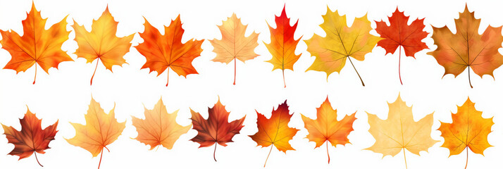 autumn leaves