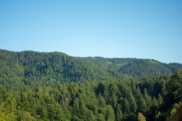 The forested mountains of Washington State