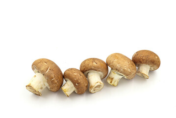 Fresh  champignon mushrooms isolated on a white background.  full depth of field.