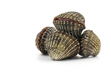 This is a close-up photo of a white background clam shell, commonly known as a cockle. seafood. This shell is often found on sandy.