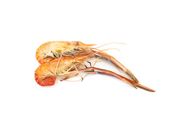 shrimps on white background