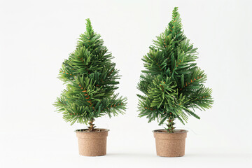 Fototapeta premium two small trees in a pot on a white surface
