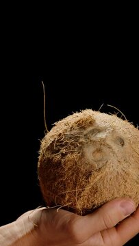 Vertical video. Vertical video. Coconut Tossed by Hand in the Air, Isolated on Black Background.