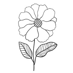 Hand drawn simple flower outline