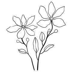 Hand drawn simple flower outline