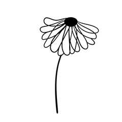 Hand drawn simple flower outline