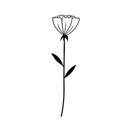 Hand drawn simple flower outline