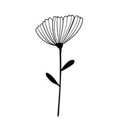 Hand drawn simple flower outline