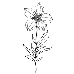 Hand drawn simple flower outline