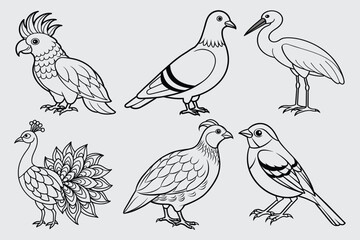 Print Birds animals vector illustration
