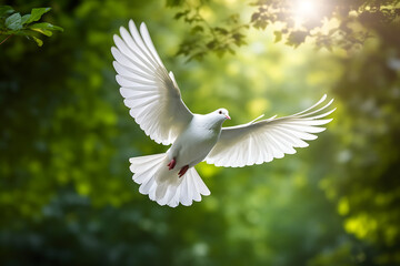 Flying white dove on a dark background. A symbol of peace.