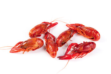 boiled Asian Food Spicy crawfish isolated on white background.