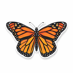 Obraz premium Cute butterfly on a White Canvas Sticker.