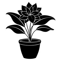Indoor plant, flower Isolated Flat silhouette black    