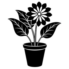 Indoor plant, flower Isolated Flat silhouette black    