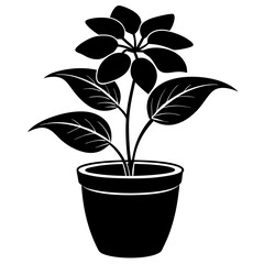 Indoor plant, flower Isolated Flat silhouette black    