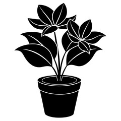 Indoor plant, flower Isolated Flat silhouette black    