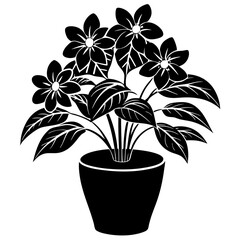 Indoor plant, flower Isolated Flat silhouette black    