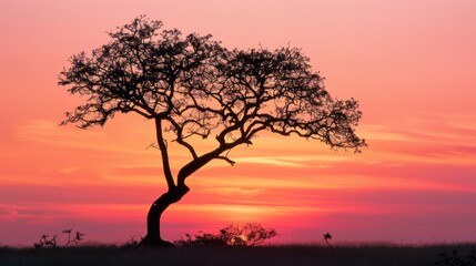 A lone trees silhouette with branches spreading wide, set against an orange and pink sunset horizon