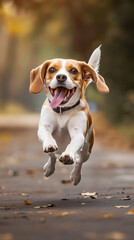 A dog is jumping in the air and has its tongue out, pat has fun